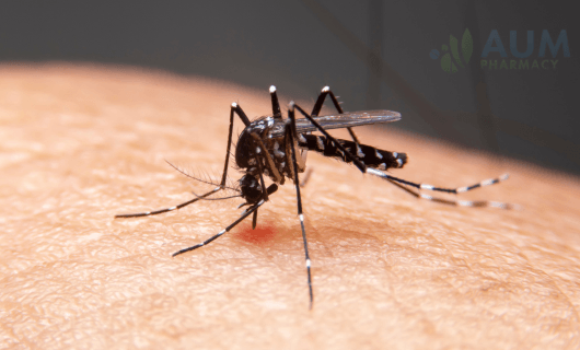 Dengue