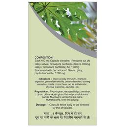 Basic Ayurveda Giloy Power Capsule