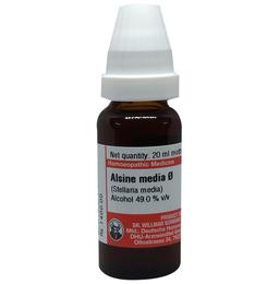 Dr Willmar Schwabe Germany Alsine Media (Stellaria Media) Mother Tincture Q
