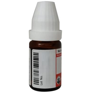 Dr Willmar Schwabe Germany Anacardium Orientale Dilution 200