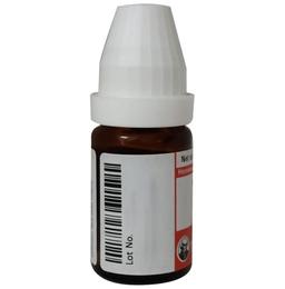 Dr Willmar Schwabe Germany Angelica Archangelica (Angelica) Mother Tincture Q