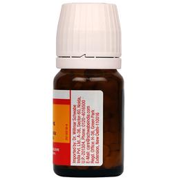 Dr Willmar Schwabe Germany Bio-Plasgen 17 Tablet