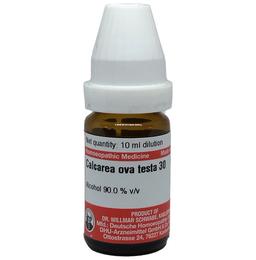 Dr Willmar Schwabe Germany Calcarea Ova Testa Dilution 30