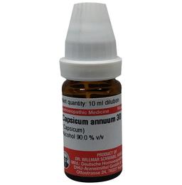 Dr Willmar Schwabe Germany Capsicum Annuum (Capsicum) Dilution 30