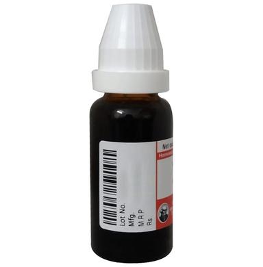 Dr Willmar Schwabe Germany Carbo Vegetabliis Dilution 10M