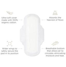 Azah Combo Pack of Ultra Soft Organic Sanitary Pads (20R & 10XL) and Ultra-Soft Organic Panty Liners (40)
