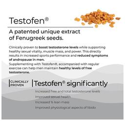 Wellbeing Nutrition Melts into Testo Power with Testofen + Himalayan Shilajit | Sugar Free Oral Thin Strip | Flavour Cool Mint