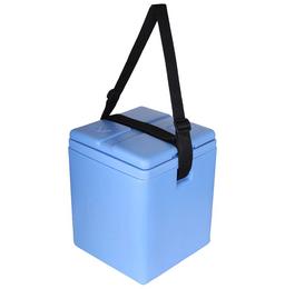 Fairbizps Vaccine Carrier Box 1.67L Capacity with 4 Ice Pack Inside Box Blue
