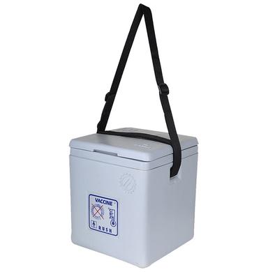 Fairbizps Vaccine Carrier Box 1.67L Capacity with 4 Ice Pack Inside Box Grey