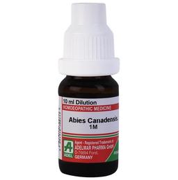 ADEL Abies Canadensis. Dilution 1M