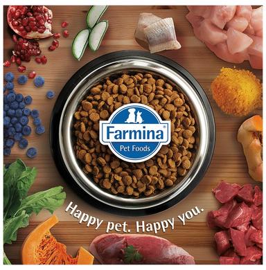 Farmina Pet Foods N&D Quinoa for Adult Cat Weight Management