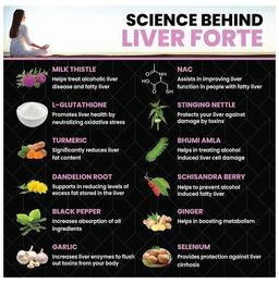 Healeo Nutrition Liver Forte 2000mg Veg Tablet