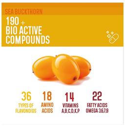 Berryheal Combo Pack of Omega 3,6,7,9 Life Oil Sea Buckthorn Whole Berry Oil Capsule & Omega 7 Rich Life Oil Sea Buckthorn Berry Fruit Oil Capsule (32 Each)