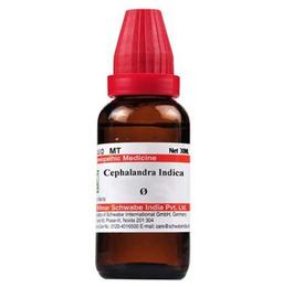 Dr Willmar Schwabe India Cephalandra Indica Mother Tincture Q