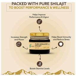 Healthkart HK Vitals Pure Himalayan Shilajit Resin