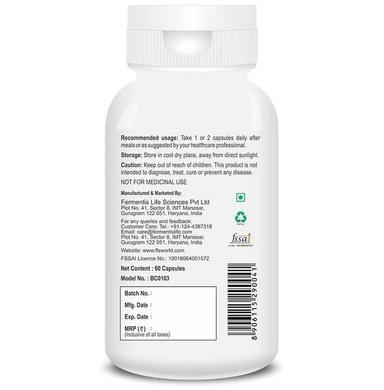 Billion Cheers Vitamin B6 Vegetarian Capsules