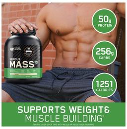 Optimum Nutrition (ON) Serious Mass High Protein for Weight Gain & Muscle Building | Flavour Powder Vanilla