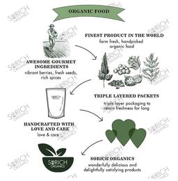 Sorich Organics Combo Pack of Flax, Sunflower and Chia Seeds (200gm Each)