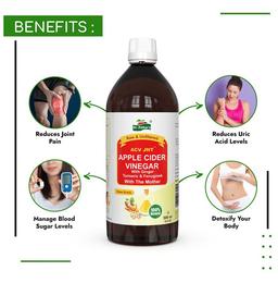 Dr. Patkar's Apple Cider Vinegar Ginger, Turmeric & Fenugreek with the Mother