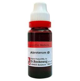 Dr. Reckeweg Abrotanum Mother Tincture Q