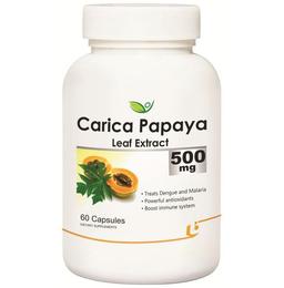 Biotrex Carica Papaya Leaf Extract 500mg Capsule