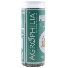 Agrophilia Pumpkin Seeds Raw