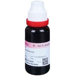 Dr. Reckeweg Arnica Mont Mother Tincture Q
