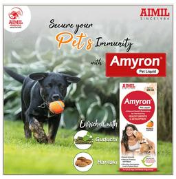 Aimil Pharmaceuticals Amyron Pet Liquid Mango