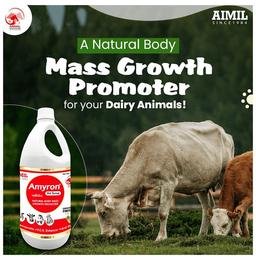 Aimil Pharmaceuticals Amyron Vet Syrup