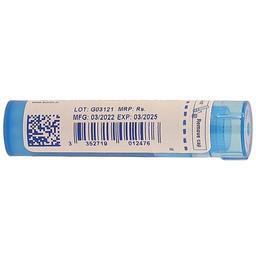 Boiron Candida Albicans Pellets 200C