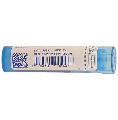 Boiron Candida Albicans Pellets 200C