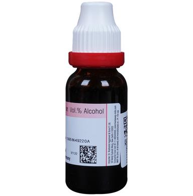 Dr. Reckeweg Bacopa Monnieri (Brahmi) Mother Tincture Q
