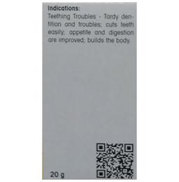 Dr. Reckeweg Bio-Combination 21 (BC 21) Tablet