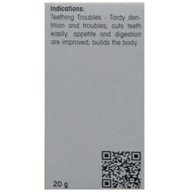 Dr. Reckeweg Bio-Combination 21 (BC 21) Tablet