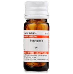 Dr Willmar Schwabe India Pancreatinum Trituration Tablet 6X