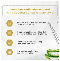 Four Seasons Aloe Vera Skin Gel Kesar & Chandan
