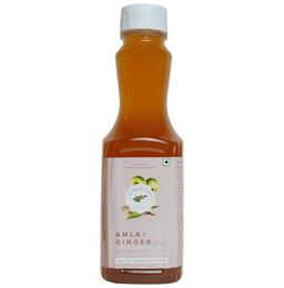 Baidyanath (Jhansi) Amla+Ginger Juice