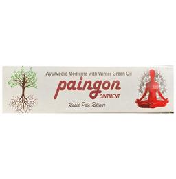 Paingon Ointment