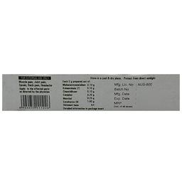 Kottakkal Ayurveda Pain Balm