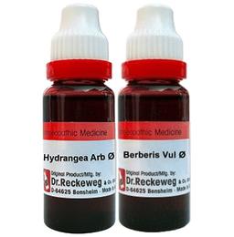 Combo Pack of Dr. Reckeweg Berberis Vul Mother Tincture Q & Dr. Reckeweg Hydrangea Mother Tincture Q (20ml Each)