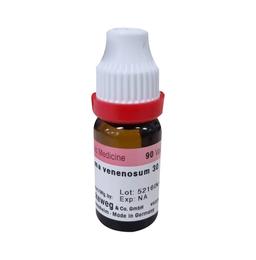 Combo Pack of Dr. Reckeweg Physostigma Venenosum Dilution 30 CH (11ml) & Dr Willmar Schwabe Germany Cineraria Maritima Without Alcohol Eye Drop (10ml)