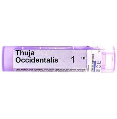 Boiron Thuja Occidentalis Multi Dose Approx 80 Pellets 1000 CH