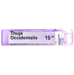Boiron Thuja Occidentalis Multi Dose Approx 80 Pellets 10M CH