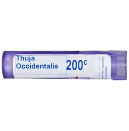 Boiron Thuja Occidentalis Multi Dose Approx 80 Pellets 200 CH