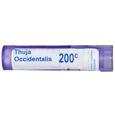 Boiron Thuja Occidentalis Multi Dose Approx 80 Pellets 200 CH