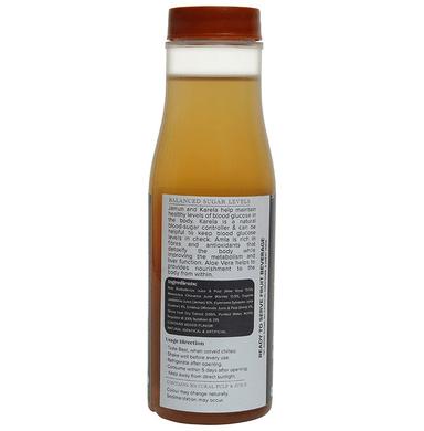 Baidyanath (Jhansi) Jamun+Karela Ready to Drink Juice Buy 1 Get 1 Free