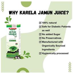 Baidyanath (Jhansi) Karela Jamun Juice