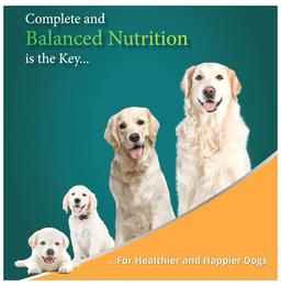 Himalaya Healthy Pet Food for Puppy's Digestion, Growth, Strong Teeth & Bones | Chicken & Rice