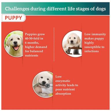 Himalaya Healthy Pet Food for Puppy's Digestion, Growth, Strong Teeth & Bones | Chicken & Rice
