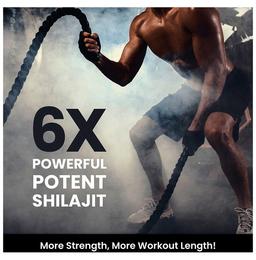 Himalayan Organics Himalayan Shilajit